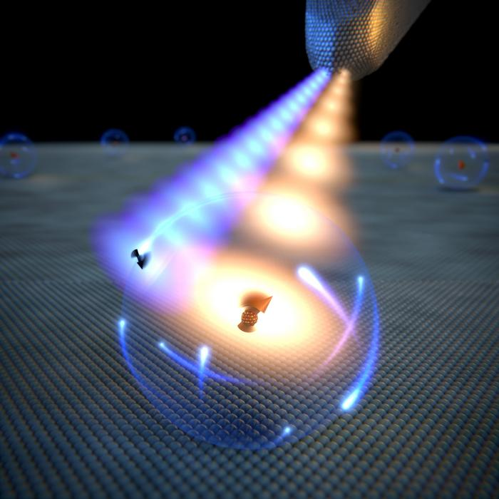 TU Delft Achieves Direct Single-Atom Nuclear Magnetic Resonance via Scanning Tunneling Microscope Probe